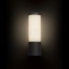 GARRET fali lámpa antracitszürke 230V LED 15W IP65 3000K